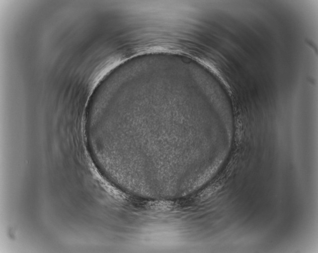 X0000100350991200806201537