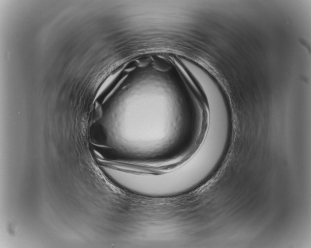 X0000100350993200806201537