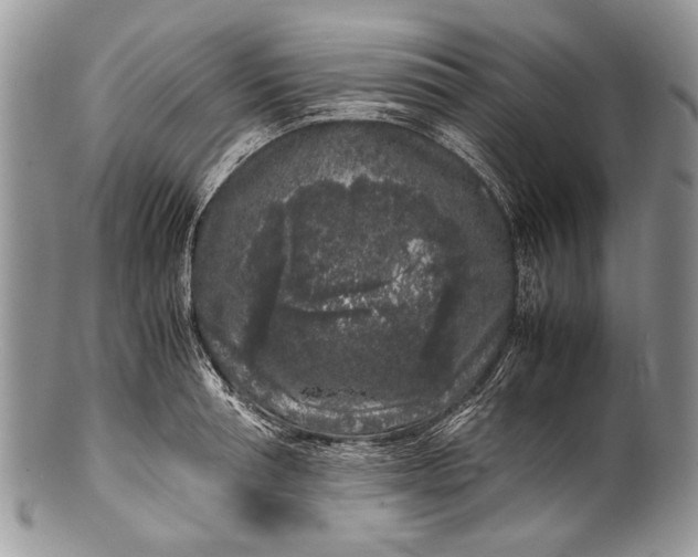 X0000100350994200806201537