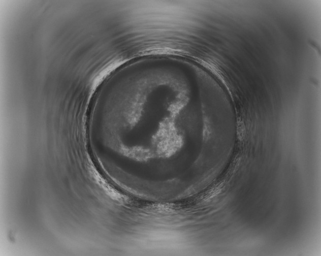 X0000100350995200806201537