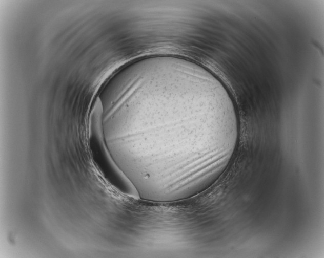 X0000100350996200806201537