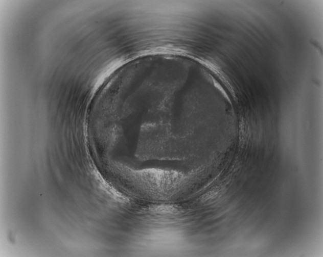 X0000100350998200806201537