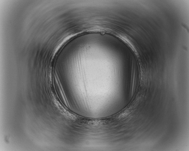 X0000100351000200806201537