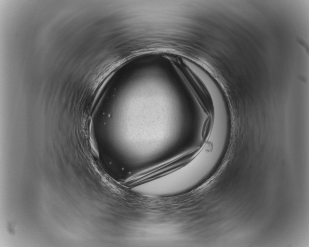 X0000100351001200806201537