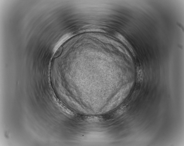 X0000100351002200806201537