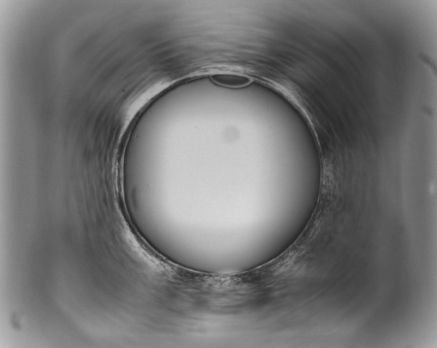 X0000100351003200806201537