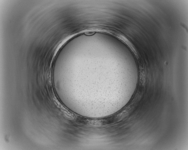 X0000100351004200806201537