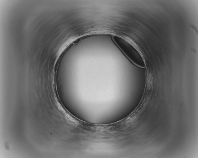 X0000100351005200806201537