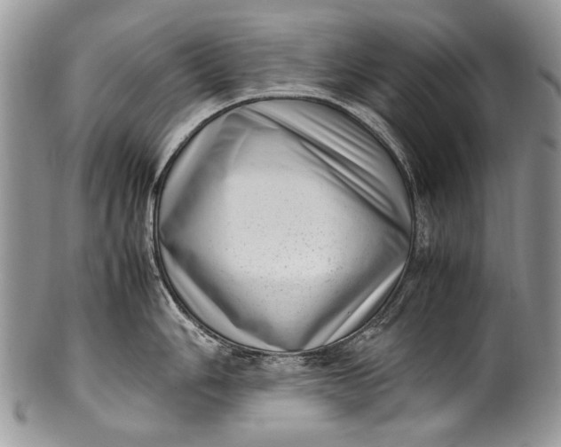 X0000100351006200806201537