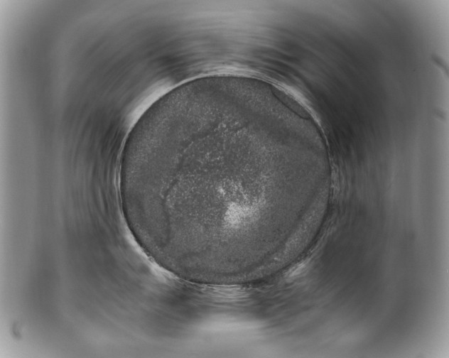 X0000100351007200806201537