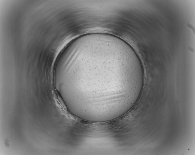 X0000100351008200806201537