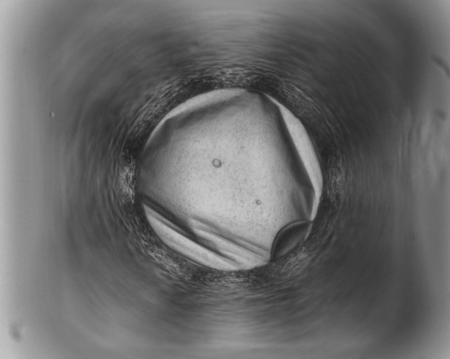 X0000100351010200806201536