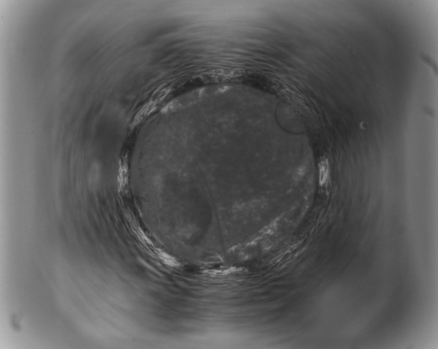 X0000100351011200806201536