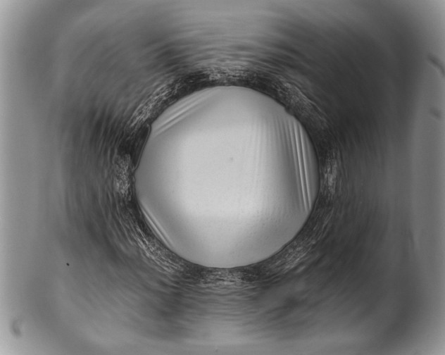 X0000100351012200806201536