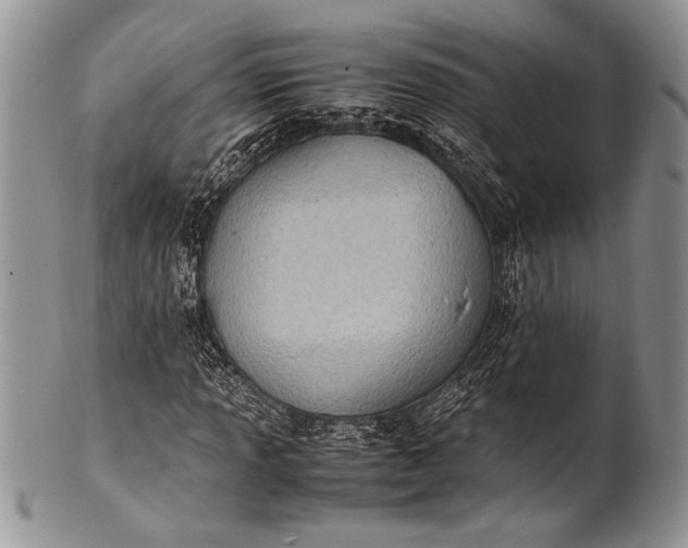 X0000100351013200806201536
