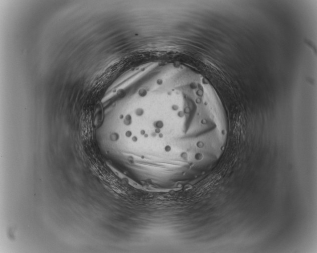 X0000100351014200806201536