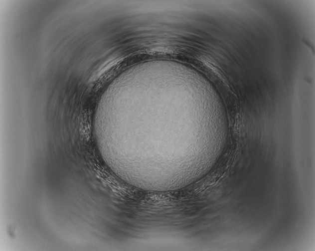 X0000100351015200806201536