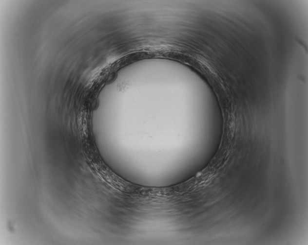 X0000100351016200806201536