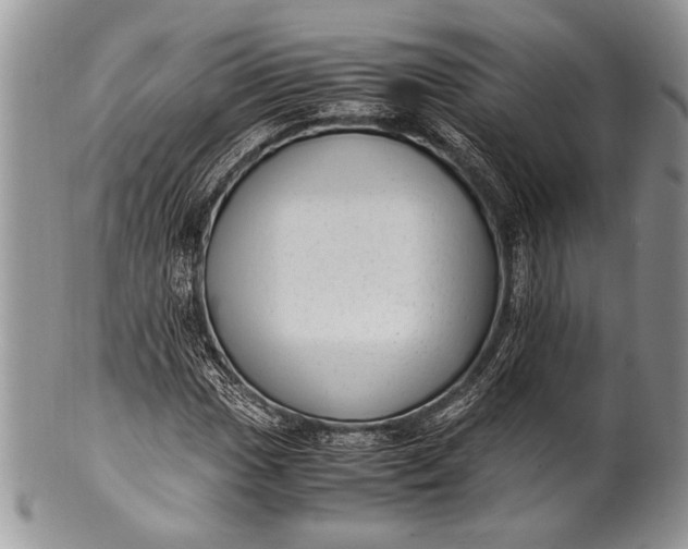 X0000100351017200806201536