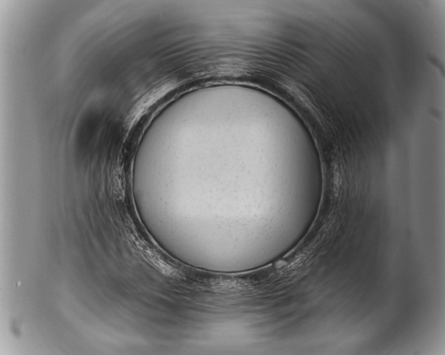X0000100351018200806201536
