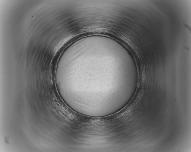 X0000100351022200806201536