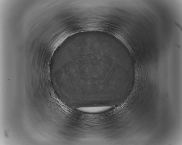 X0000100351023200806201536