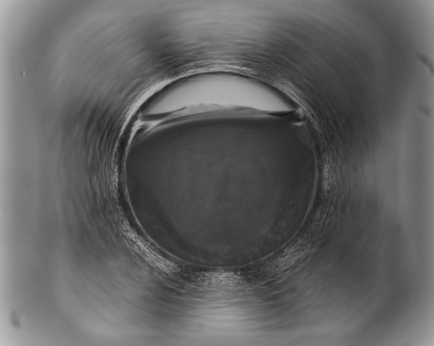 X0000100351024200806201536