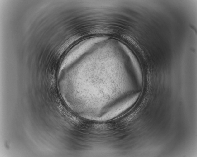 X0000100351025200806201536