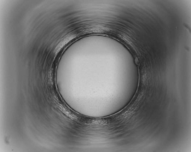 X0000100351026200806201536