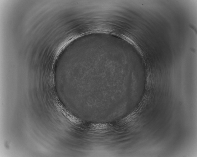 X0000100351027200806201536