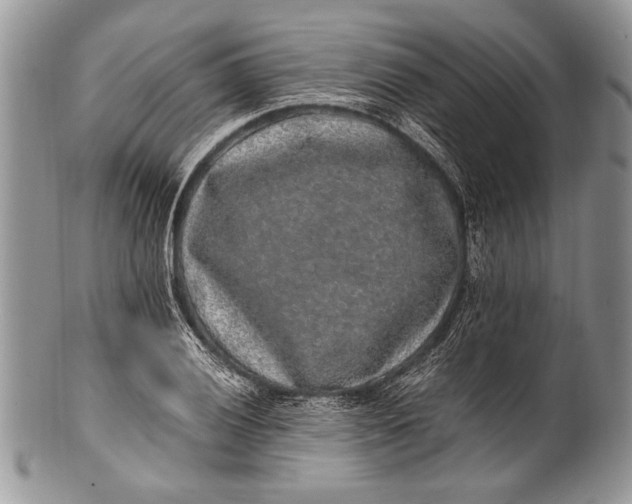 X0000100351028200806201536