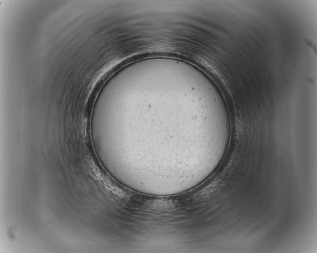 X0000100351029200806201536