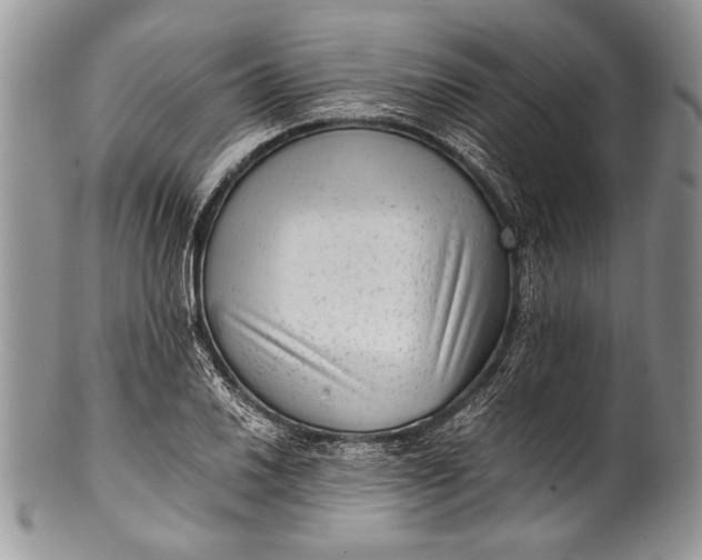 X0000100351030200806201536