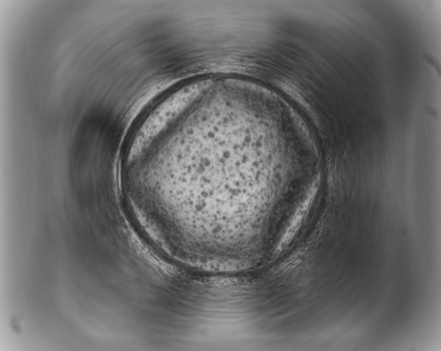 X0000100351032200806201536