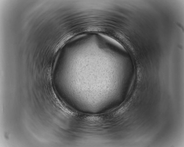 X0000100351033200806201536