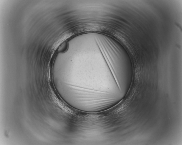X0000100351034200806201536