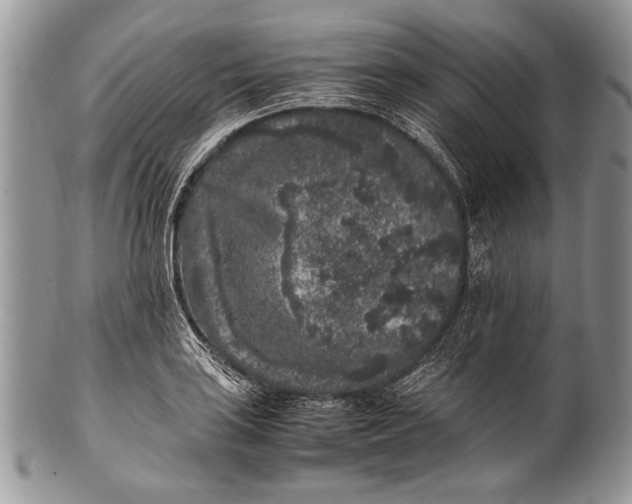 X0000100351035200806201536