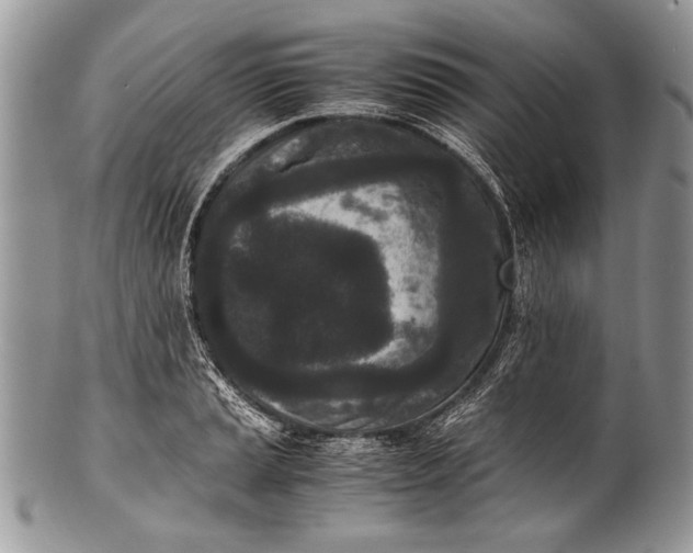 X0000100351037200806201536