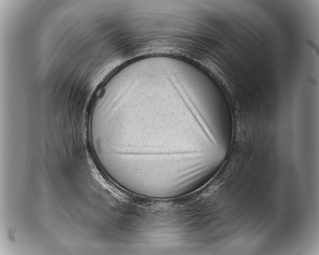 X0000100351038200806201537