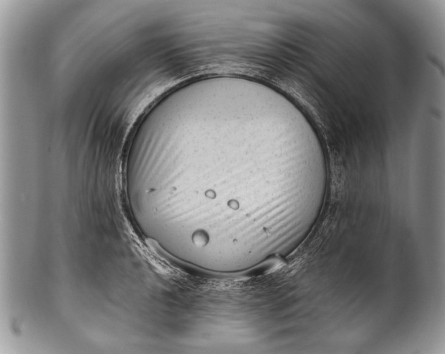 X0000100351040200806201537