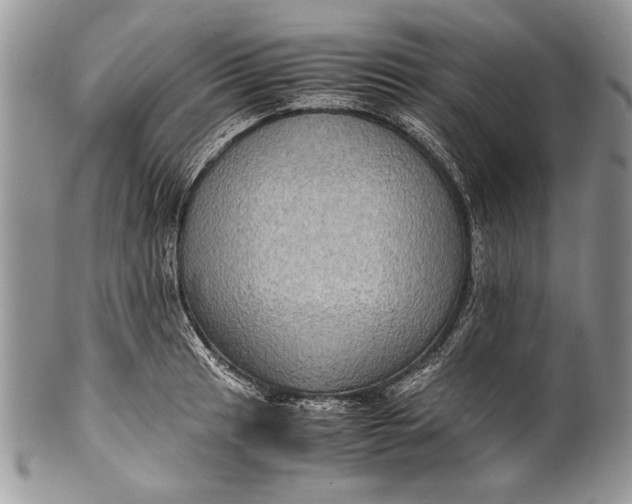 X0000100351041200806201537
