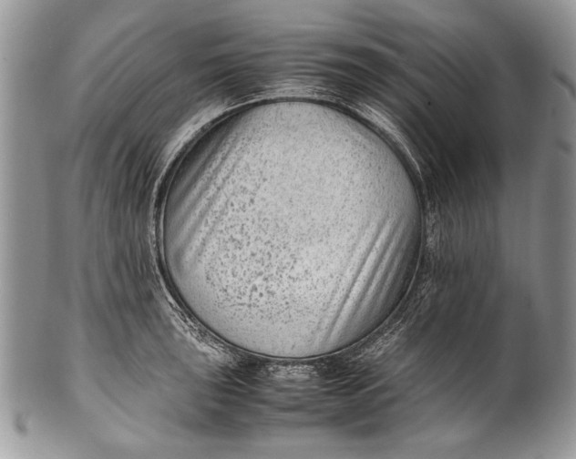 X0000100351043200806201537