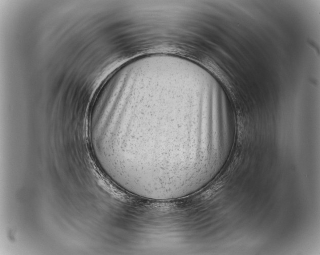 X0000100351044200806201537