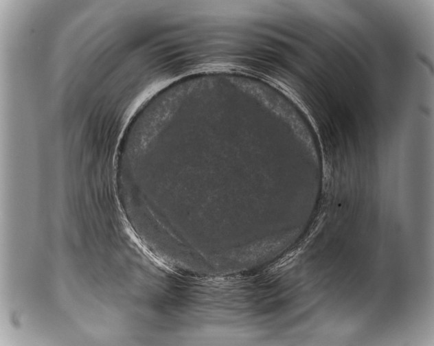X0000100351045200806201537