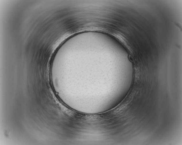 X0000100351046200806201537