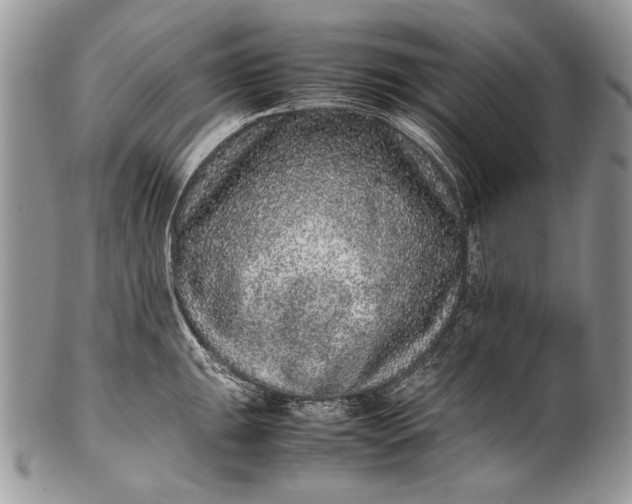 X0000100351047200806201537