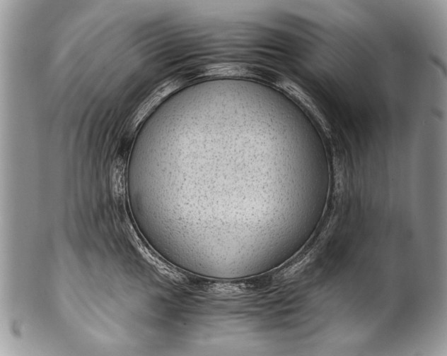 X0000100351049200806201537