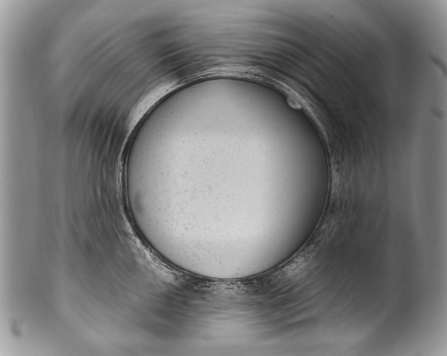 X0000100351050200806201537
