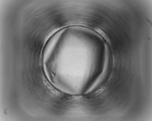 X0000100351052200806201537