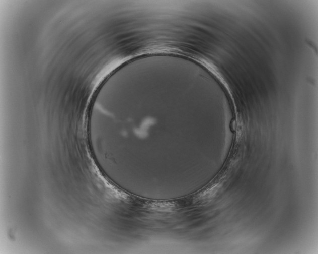X0000100351053200806201537